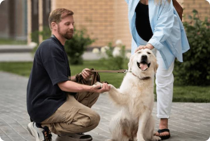 fun-and-safe-daytime-care