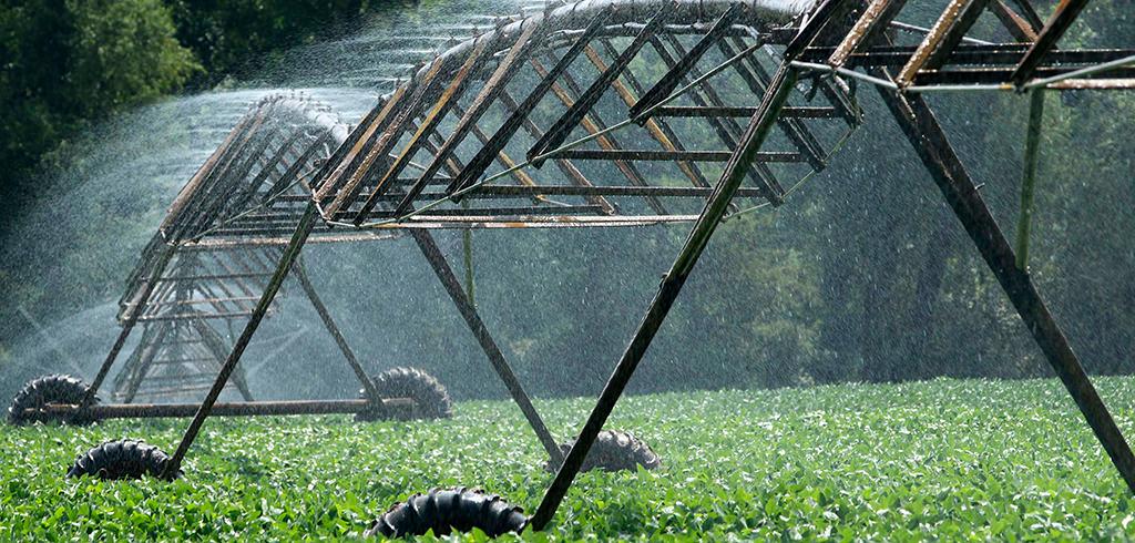 irrigation system for crops