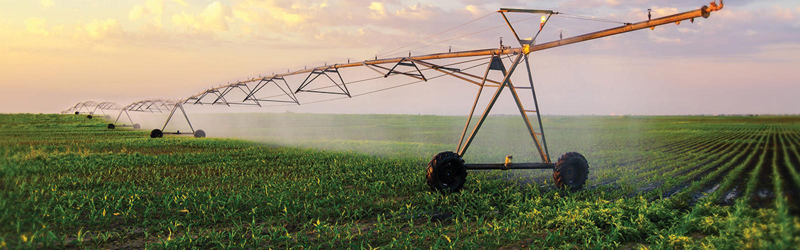 irrigation system for crops